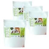 UltraClean Cats&Dogs Teppichreiniger Pulver zum Absaugen, Teppich Reinigungsmittel Pulver, Teppichpulver zum Reinigen von 10-15qm Teppichboden, 4 x 500g