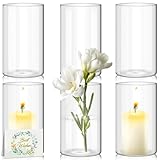YlYADl 15 cm Hohe Glasvasen für Tischdeko,6er-Pack Zylinder Glas Vasen,Gläser für Kerzen,Blumen, Kieselsteine,Muscheln & Windlicht Glas,Vasen Deko,Durchsichtige Glasvase Zylinder,Kerzenhalter