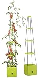 Royal Gardineer Tomatenturm: 2er-Set Pflanz-Türme mit Rankhilfe für Tomaten, mit 2,5-l-Wassertank (Pflanzturm mit Wasserspeicher, Tomatenturm mit Wasserspeicher, Bewässerungssystem)