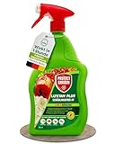 PROTECT GARDEN Lizetan Plus Schädlingsfrei AF, Blattlausfrei, Blattläuse und Schädlinge bekämpfen an Zierpflanzen, Rosen, Obst und Gemüse, 800 ml Spray