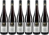 Weinmanufaktur Ingelfinger Fass Schwarzriesling 2023 Halbtrocken Bio (6 x 0.75 l)
