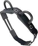 Brama West Voltigiergurt Reitgurt mit Zwei Griffen aus Neopren - geeignet auch als Longiergurt (XFull)