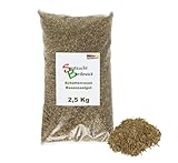 Rasen Schattenrasen Grassamen Rasensamen Rasensaat Gras 2,5kg Gras - Qualität zum Fairen Preis !