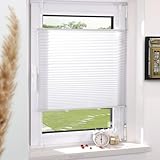 Grandekor Plissee Klemmfix ohne Bohren Weiß 40x130cm(BxH) Plissees lichtdurchlässig Blickdicht Jalousien ohne Bohren Fensterrollo Klemmrollos Sonnenschutz Sichtschutz Faltrollo Rollos für Fenster