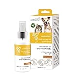 XINYIN Breathable Restorative Pet Joint Spray Clear Joint Repair Spray Soothing Joint Spray Liquid Restorative Recovery Spray Pet Joint Repair Spray