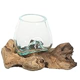 Mundgeblasenes Glas auf Gamal-Wurzel - Einzigartiges Deko-Objekt aus Glas und Natur