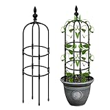 Stronrive Rankhilfe Obelisk - Metall Garten Rankhilfe...