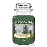 Yankee Candle Duftkerze im Glas (groß), Evergreen Mist, Alpine Christmas Collection, Brenndauer bis zu 150 Stunden