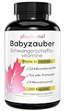 NEU: 9 MONATSVORRAT - 12fach Schwangerschaftsvitamine Komplex für alle Trimester - 280 Kapseln pro Dose mit Folsäure (B9), Eisen, Chrom, den wichtigen B-Vitaminen, Vitamin C, Jod & Selen - plantomol®