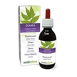 Echtes Mädesüß (Filipendula ulmaria oder Spirea ulmaria) Blüten Alkoholfreier Urtinktur Naturalma - Flüssig-Extrakt Tropfen 120 ml - Nahrungsergänzungsmittel - Veganer