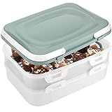 COM-FOUR® Partycontainer mit 2 Etagen und Hebeeinsatz - Kuchen Transportbox für Lebensmittel - Kuchencontainer mit Tragegriff - türkis pastell (01 Stück - Container türkis pastell)