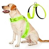 KOSKILL LED Hundegeschirr Wiederaufladbares Beleuchtetes Hundegeschirr Leuchtet Im Dunkeln LED Hundeweste Reflektierend Hundelichter für Nachtspaziergänge Grün M