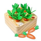 YIQOGAME Spielzeug ab 2 Jahre,Montessori Holzspielzeug,Karotten Steckspiel Holz Sortierspiel Lernspielzeug Kleinkind Spielzeug Holzspielzeug Baby Lernen Feinmotorik