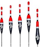 Paradox Fishing Posen Set 5 Stück 3g/4g/5g/6g/8g I Posen...