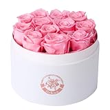 Dekun Rosen-Box Rund Ewige Rosenbox- 12 konservierte Rosen Rot in Box haltbar 1-3 Jahre - Geschenke für Mutter Freundin Ehefrau Oma; Geburtstag Valentinstag Ewige Blume (Rosa)