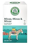 Lebensbaum Zeit für Erfrischung, Bio-Kräutertee, frische Kräuterteemischung mit drei Minzen, vegan, 20 Teebeutel, 30g