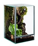 Glas Terrarium Glasterrarium 20x15x25 20 15 25 Falltür