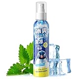 Mints Cool Spray, Kühlnebelspray Für Heißes Wetter, Feuchtigkeitsfeuchtigkeitsspezifische Feuchtigkeitscreme Mit Schneller Absorption 360 -Grad -Drehdüse, Kühlspray Für Gesicht Und Körper 150ml