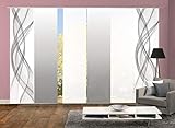 Home Fashion 96675 | 6er-Set Schiebegardinen FERROL | blickdichter Dekostoff & transparenter Halborganza | 6X jeweils 245x60 cm | Farbe: (grau)