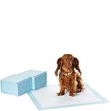 Amazon Basics Trainingspads für Hunde und Welpen, auslaufsicheres 5-lagiges Design mit schnell trocknender Oberfläche, Normal (50Stück), Blau