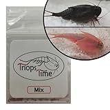 Triops Starterset (Mix, 100 Eier)