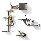 Eukue Kletterwand Katzen Set, 4 in 1 Stabilen Katze kletterwand Set, Indoor Wand Kratzbaum, Katze Wand Regal mit mit Katzenhaus, Katzenbrücke, Katzenbaum, Katzentreppe - Grau