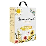 Sonnenstund Grauburgunder & Rivaner 3 Liter Wein-Box, fein & fruchtig mit Aromen von Apfel, Ananas und Litschi, Weißwein QbA vom Kaiserstuhl (1 x 3,0 l Bag-in-Box)