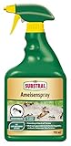 Substral Ameisenspray gebrauchsfertiges Kontaktspray, zur Bekämpfung von Ameisen, 750 ml Sprühflasche