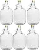 lilawelt24 6 x 5L GLASBALLON Weinballon GÄRBALLON GLASFLASCHE Flasche Gallone Leere Glasflasche zum Befüllen