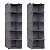 Lifewit Hängeregal, Schrank Organizer, Hängesystem Kleiderschrank, Hängeaufbewahrung aus Stoff, Ordnungssystem Kleiderschrank, Faltbar und Platzsparend mit Metallhaken, 2 Stück, Grau