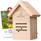 wildtier liebe Marienkäfer-Hotel, Marienkäferhaus - Wetterfest & Unbehandelt aus Massiv-Holz I Insektenhotel für Marienkäfer zum Aufhängen I Nistkasten, Marienkäferunterkunft für Garten, Balkon