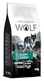 The Hunger of the Wolf Hundefutter für Welpen und Junghunde großer Rassen, Trockenfutter mit hohem Geflügelfleischanteil - 14 kg