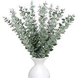 RXKFIGX 30 Stück Eukalyptus Deko, Künstliche...