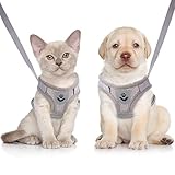 Katzengeschirr Ausbruchsicher Cat Harness Katzengarnitur Geschirr Katzen Leine und Geschirr Atmungsaktiv Mesh Verstellbare für Outdoor Training Kleine Katze Kitten Grau XS