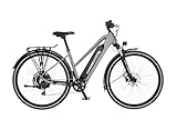 Fischer E-ATB Active Terra 2.2, Elektrofahrrad für Damen und Herren, RH 45, 688Wh, Heckmotor 50Nm, 48V