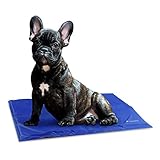 Navaris Kühlmatte Hund Kühldecke Katzen - Abkühlung Kühlmittel für Tiere - Gelmatte für Bett oder Auto - Regulierung der Körpertemperatur - Selbstkühlende Matte 40x50cm