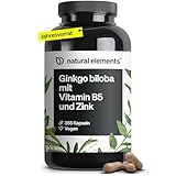 Ginkgo biloba – optimal dosiert mit 3750mg pro Kapsel (50:1 Extrakt) – 365 Kapseln – mit Vitamin B5 & Zink – vegan, ohne unnötige Zusätze – in Deutschland produziert & laborgeprüft