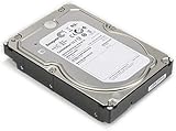 Seagate ST4000NM0023 Constellation ES.3 Interne Festplatte (4 TB, 7.200 U/min, 128 MB Cache, SAS, 6,0 Gb/s 3,5 Zoll (3,5 Zoll) (blankes Laufwerk)