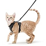 rabbitgoo Katzengeschirr mit Leine Softgeschirr für Katze...
