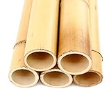 1 Stück Bambusrohr 200cm mit dickem Durchmesser von 10-12cm gelblich gebleicht - XL Moso Bambus 2m lang