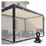 Plane Wasserdicht Transparent mit ÖSen Wasserdicht,Regenplane Zeltplane,Abdeckfolie Wetterfeste Schnee, 0.12mm für Terrasse Balkon Pavillon, Anpassbar LVTFCO (Color : Clear, Size : 1x1m)