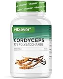Cordyceps Pilz - 300 Kapseln mit 650 mg echtem CS-4 Extrakt - 40% bioaktive Polysaccharide - Hochdosiert - Raupenpilz - Vegan