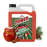 NIGRIN POWER Scheibenfrostschutz Fertigmix Ruby Delight | 5 Liter | wirksam bis -18°C | Anti-Freeze-Formel | Reinigungszusatz für Autoscheiben & Scheinwerfer | schlierenfrei | polycarbonatverträglich