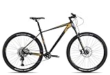 Axess Pride Mountainbike | MTB-Hardtail | 1x11-Schaltung | Hydraulische Scheibenbremsen, Farbe:satinblack Gold Grey, Rahmengröße:19 Zoll