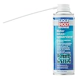 LIQUI MOLY Marine Motor Innenkonservierer | 300 ml |...