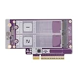 Annadue M.2 NVMe auf PCIe 5.0 X8 Adapter für M.2 NVMe, Dual M.2 NVMe Festplattenadapterkarte mit Schallwand, für 2230 2242 2260 2280