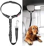 Verstellbarer Anschnallgurt Hund Auto kopfstütze, Sicherheitsgeschirr Hund, Hunde Sicherheitsgurt, Hunde Anschnallgurt mit Elastischer für Kleine und Mittelgroße Welpen-schwarz