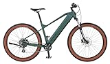 Prophete DICE 1.0 E-MTB 27,5' – Enovation Hinterradmotor 250W, 40Nm, Shimano Altus 8-Gang, 100 km Reichweite, Suntour XCT Federgabel, Hydraulische Scheibenbremse, Bronze Grün