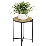 Bamworld Blumenständer Metall Pflanzenständer mit Geflochtenem Tablett, Moderner Blumen Tisch für Innen & Außen, Pflanzen Ablage Regal für Wohnzimmer, Terrasse, Balkon