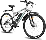 HILAND E Bike 29 Zoll Elektrofahrrad für Damen Herren MTB, 250W Motor 36V/10.4Ah Abnehmbarer Li-Ion-Akku, Reichweite von 48-80km, Shimano 21 Gänge, Vollfederung Scheibenbremsen, Grau